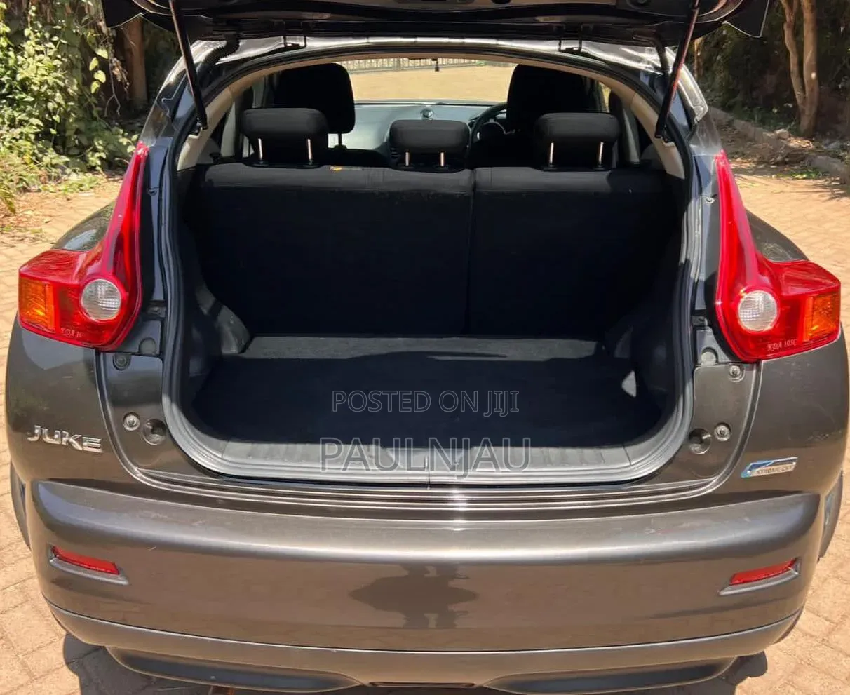 Nissan Juke 2013