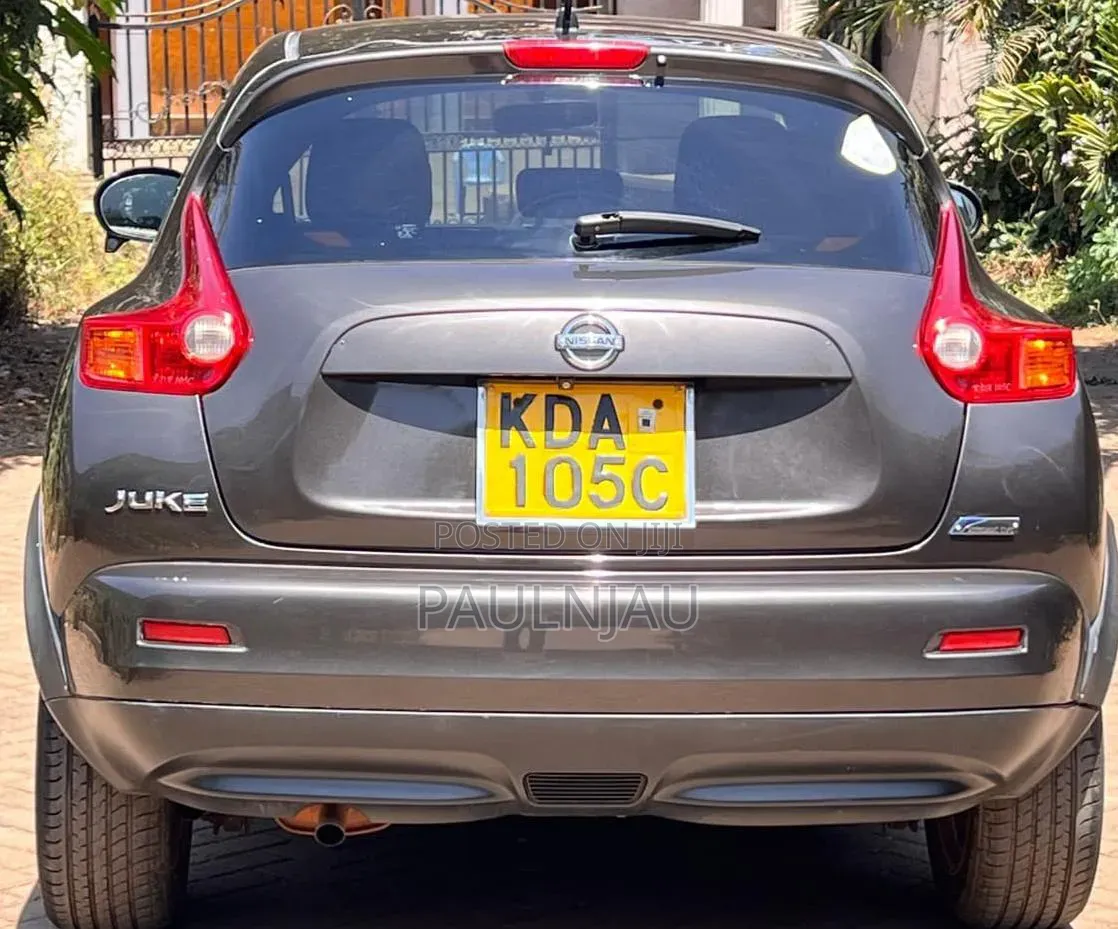 Nissan Juke 2013