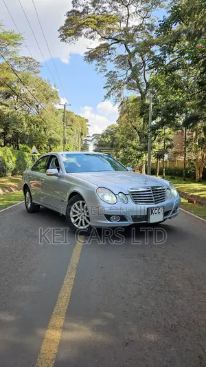 Mercedes-Benz E300 2009 Silver