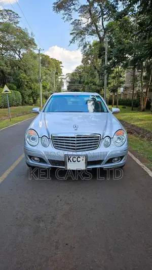 Mercedes-Benz E300 2009 Silver