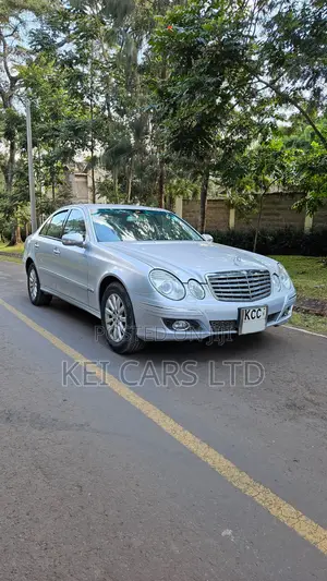 Mercedes-Benz E300 2009 Silver