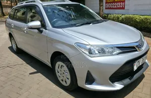 Toyota Corolla Fielder 2018 Silver