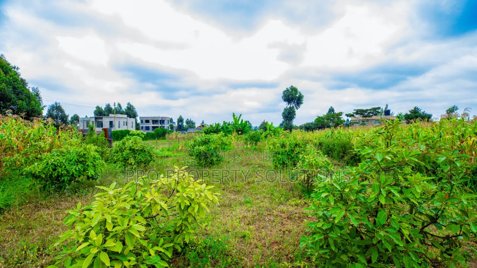 Prime Residential Plot for Sale in Kikuyu Near Kari