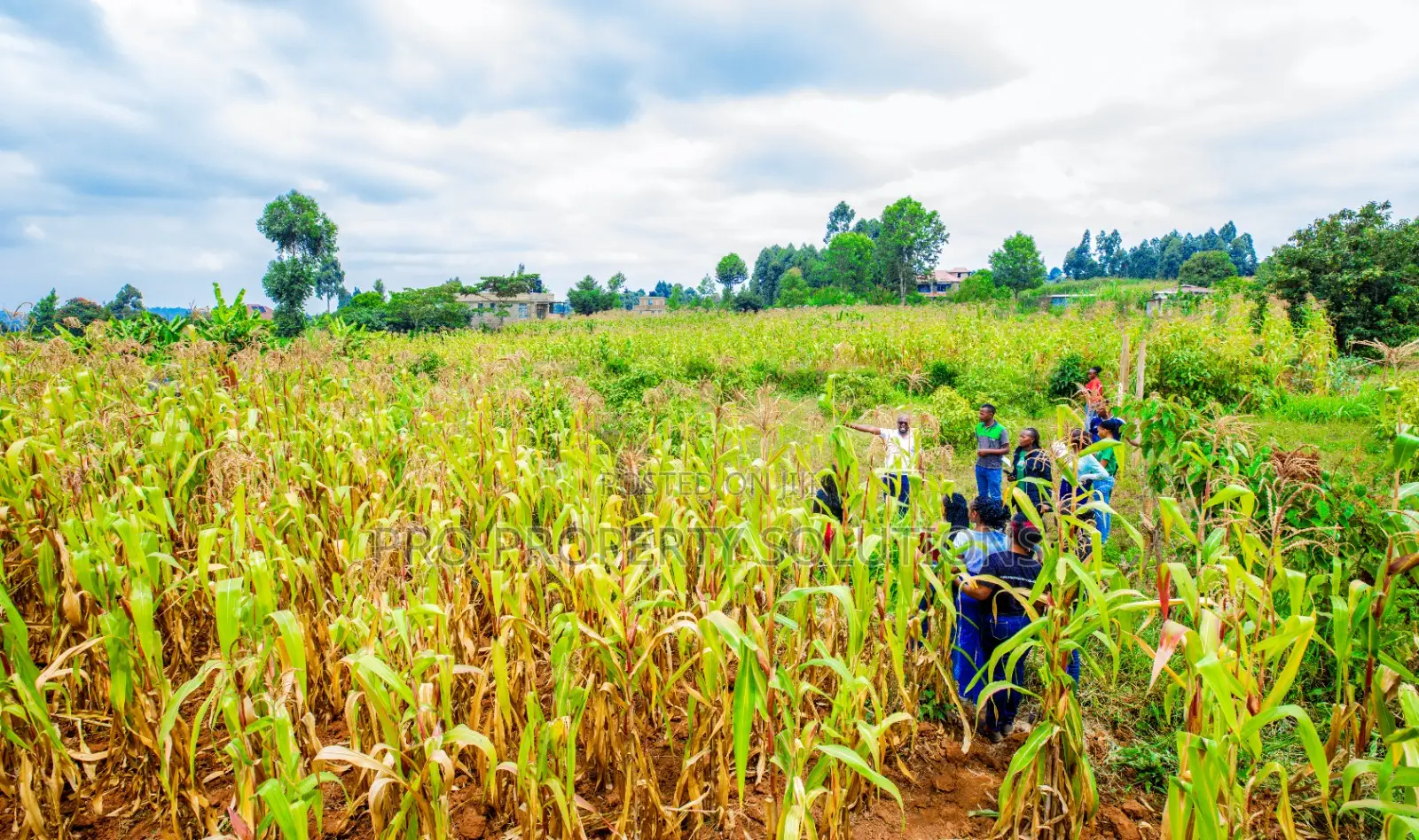 Prime Residential Plot for Sale in Kikuyu Near Kari