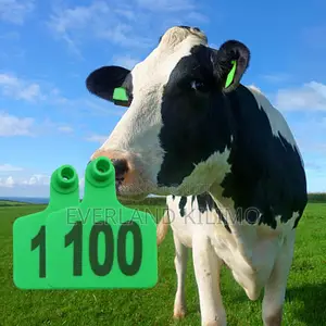 Animal Registration Tags - Large Numbered Ear Tags