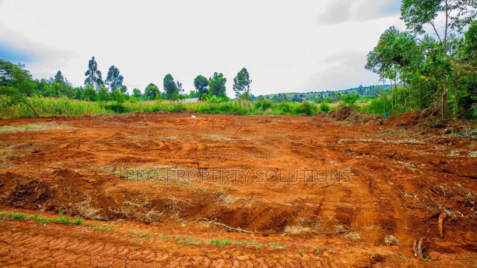 Prime Residential Plot for Sale in Kikuyu, Migumoini