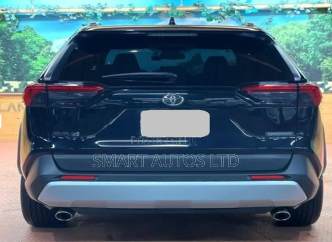 Toyota RAV4 2019 Matt Black