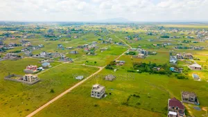 Greenvale Kamakis
