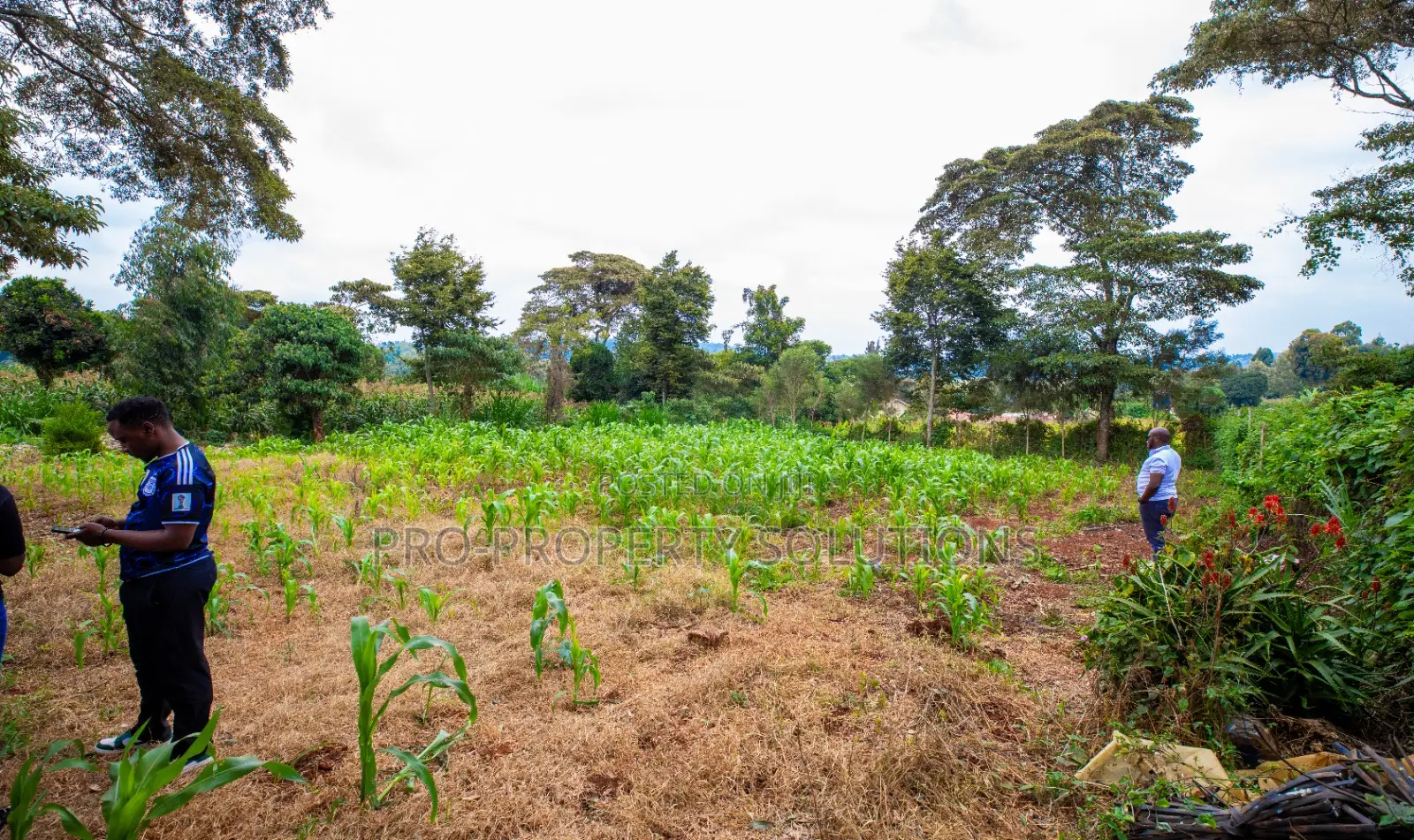 Prime Residential Plot for Sale in Kikuyu, Ondiri