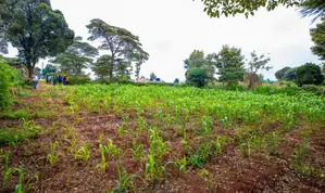 Prime Residential Plot for Sale in Kikuyu, Ondiri