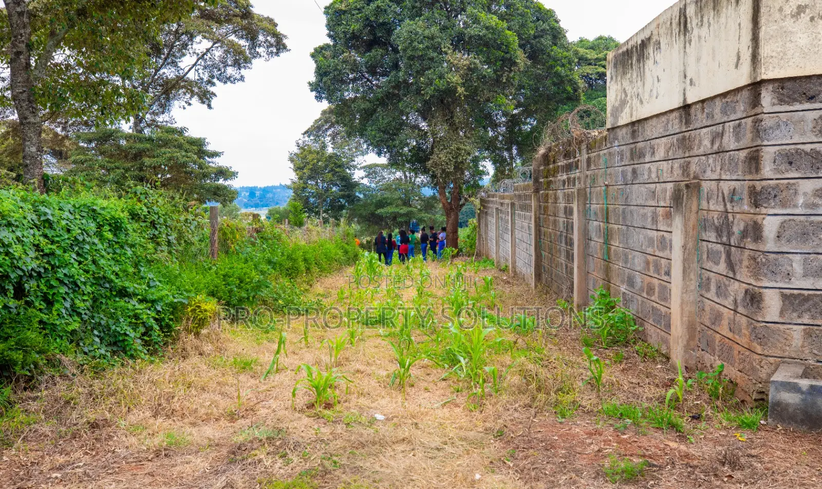 Prime Residential Plot for Sale in Kikuyu, Ondiri