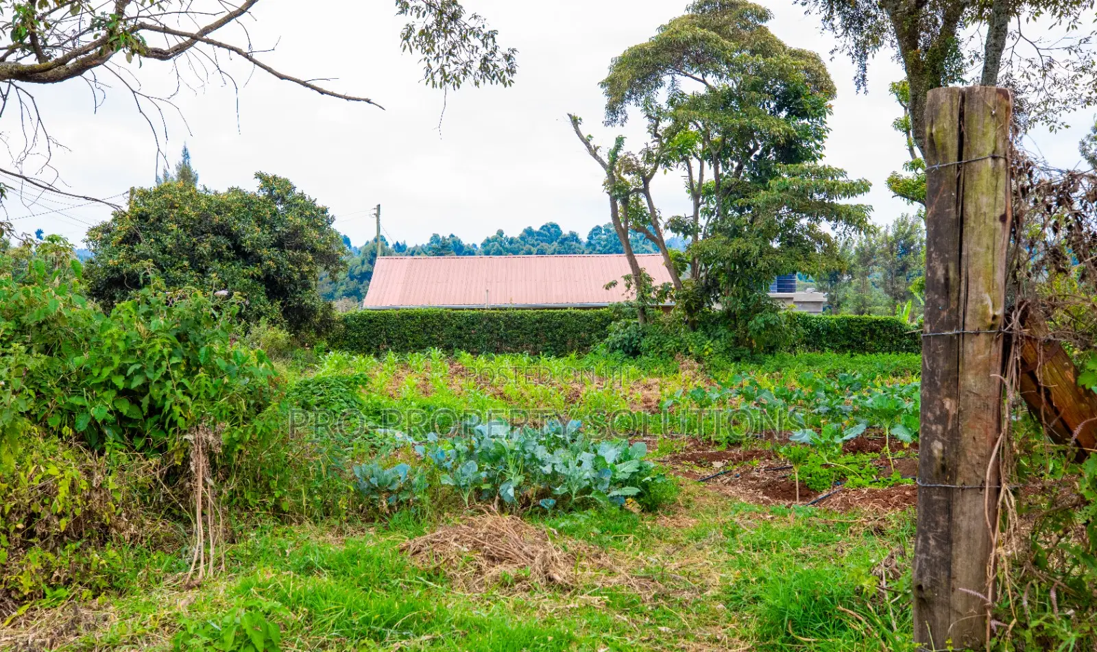 Prime Residential Plot for Sale in Kikuyu, Ondiri