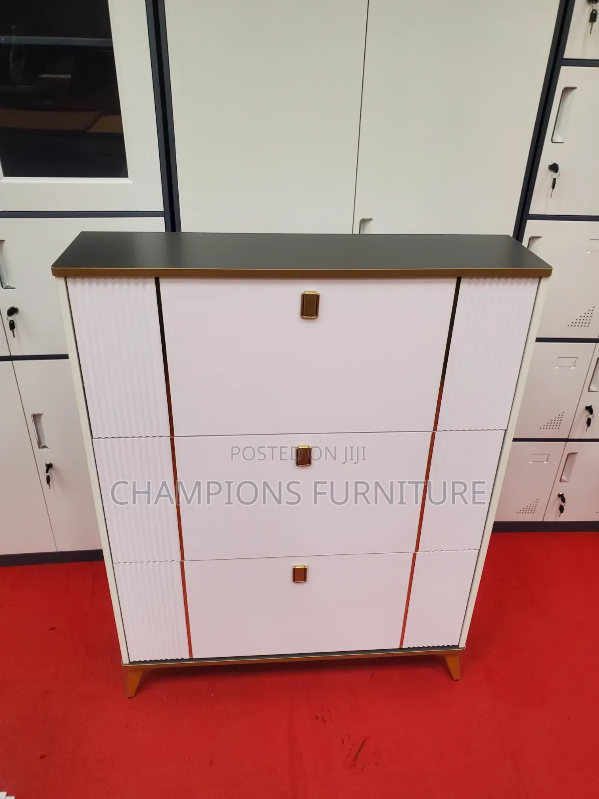 White Luxe Shoe Cabinet