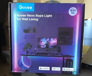 Govee Neon Rope Light for Wall Lining