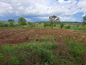 Per Acre