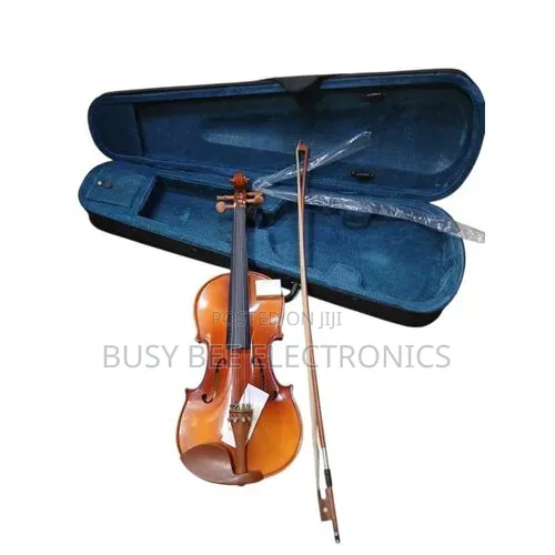 4/4 Full Size Violin Set With Bow, Case Rosin