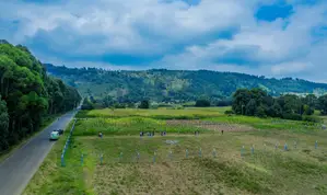 Prime Residential Serviced Plots Fronting Tarmac in Kikuyu, Thigio