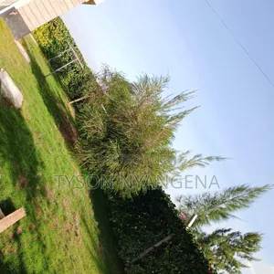 4bdrm Maisonette in Malaika Village, Kitengela for sale