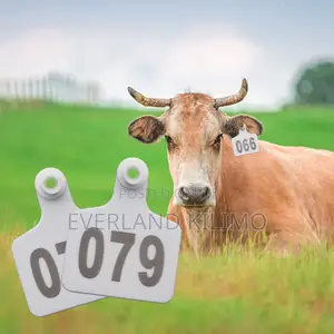 Cattles Farm Inventory Identification Large Ear Tags