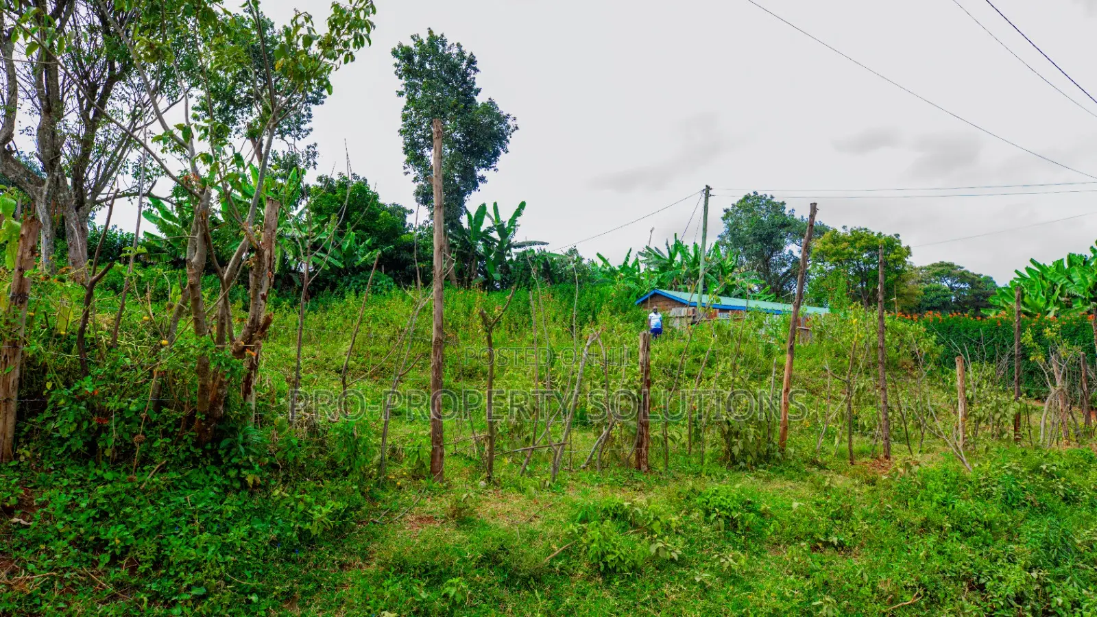 Prime Commercial Plot Fronting Tarmac for Lease in Kikuyu, Gikambura