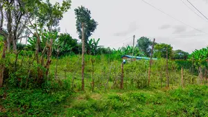 Prime Commercial Plot Fronting Tarmac for Lease in Kikuyu, Gikambura