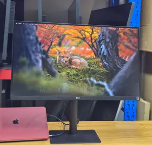 LG 27 Inch Monitor