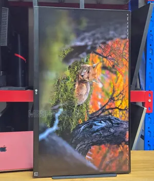 LG 27 Inch Monitor