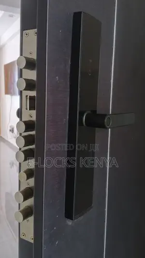 Smary Locks Kenya Tuya Wifi Smart Digital Door Lock Code Rfid