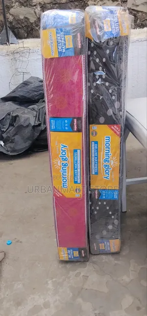 A New 6 Inches, 4 by 6 Morning Glory Mattress Superfoam Wholesale