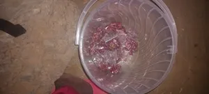 Fried Groundnuts