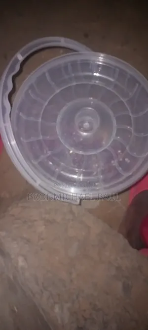 Fried Groundnuts