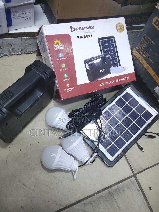 Premier Solar Lighting System