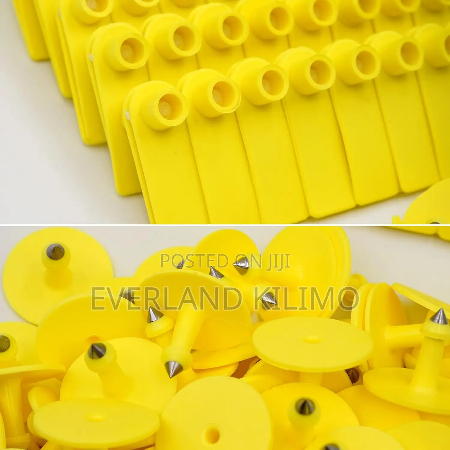 Lamb Identification Slim Ear Tags