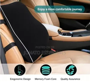 Ergonomic Lumbar Support Car and Office Back Cushion