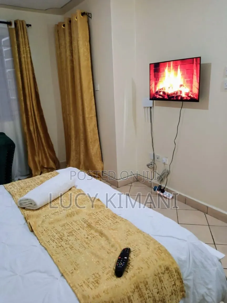 Air BNB Studio Apartment, Attic Place South B