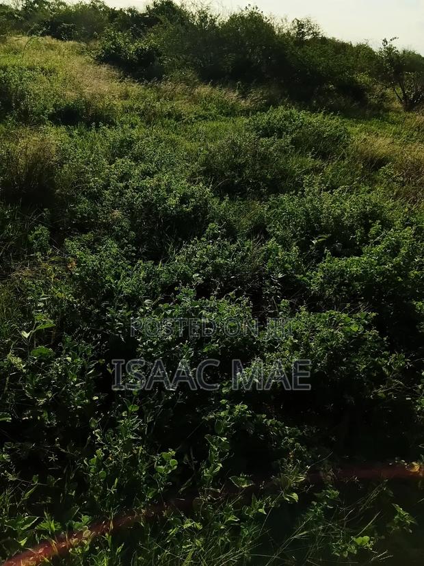 9 Acres for Sale With Ready Tittle Deed at Baolala Weru