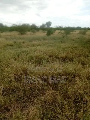 9 Acres for Sale With Ready Tittle Deed at Baolala Weru