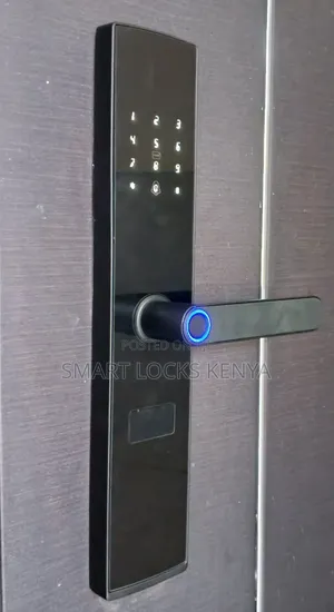 Locks Kenya Hot New Product TUYA Smart Door Lock Smart Lock