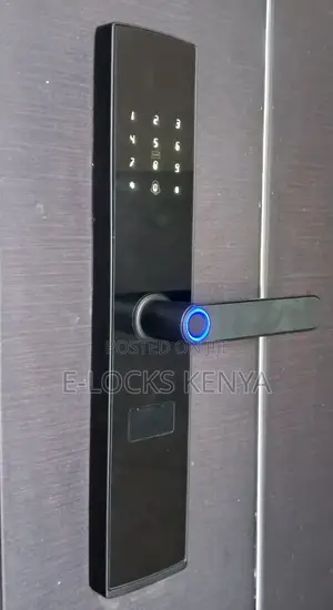 Locks Kenya Hot New Product TUYA Smart Door Lock Smart Lock