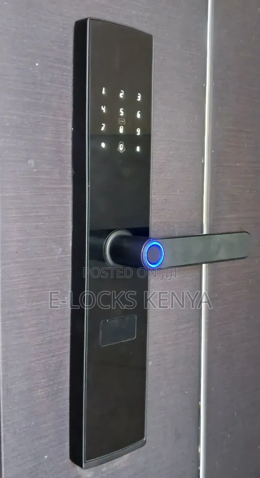 Locks Kenya Hot New Product TUYA Smart Door Lock Smart Lock