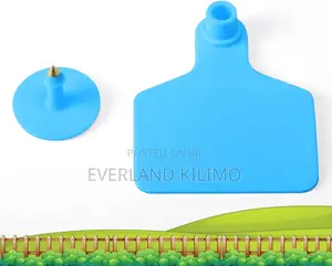 Medium Cows Tags for Digital Record Linking - plIn White
