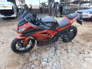 Kawasaki Ninja 300 2013 Orange