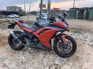 Kawasaki Ninja 300 2013 Orange