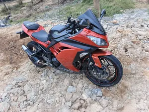 Kawasaki Ninja 300 2013 Orange