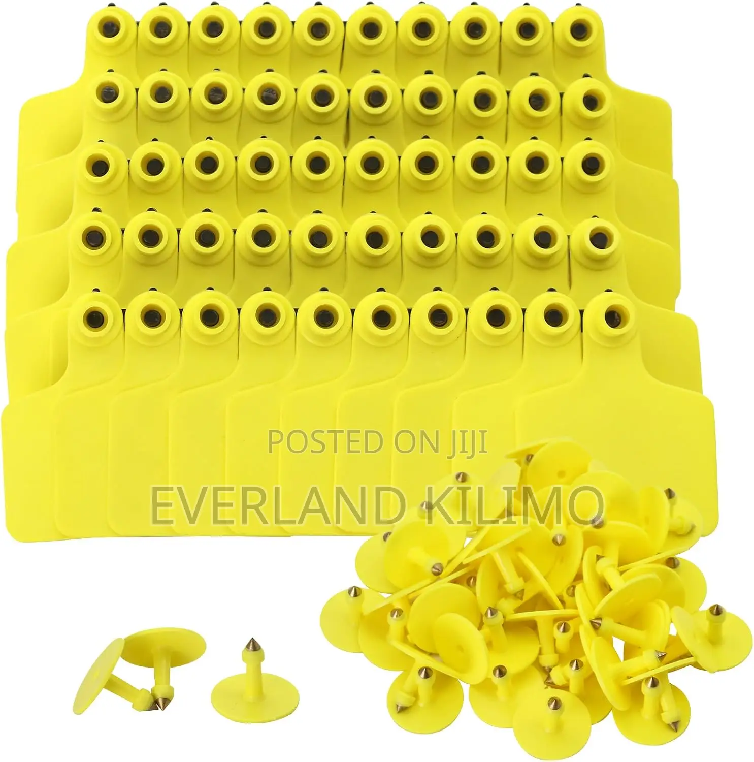 Visual Identification Large Ear Tags for Bulls and Cows