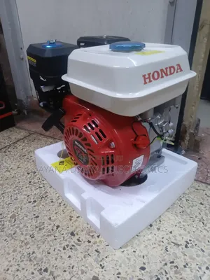 Honda Gasoline Agricultural Engine / Engine