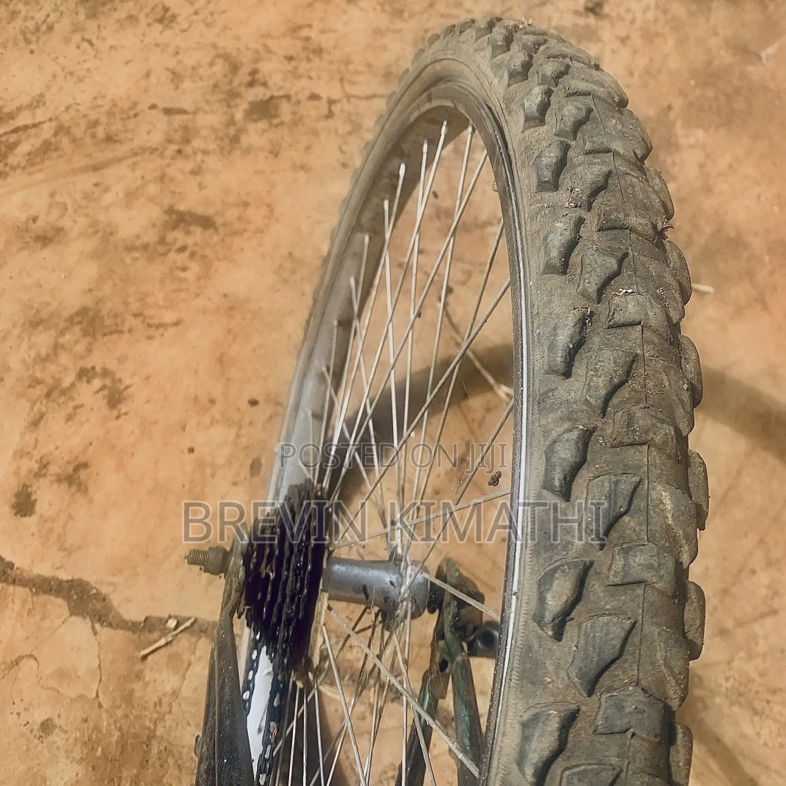 Mountain Bycicle Size 26 (Used)