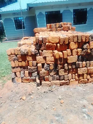 Building Bricks 4*6*12 Inches