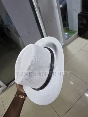 Whitish New Panama Hats for Men-Yu