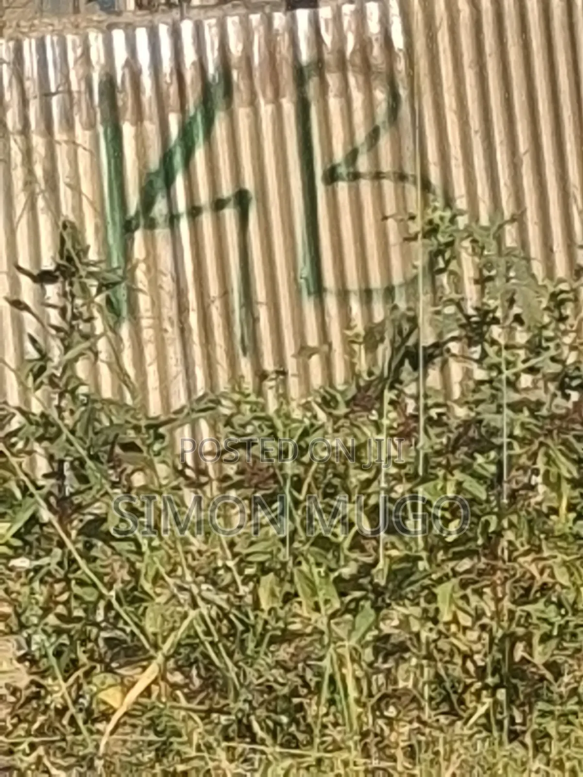 Northern Bypass Near Marurui Plot to Let Behind P/Station 2row